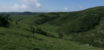 2002