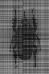 4652163