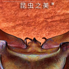 1379245