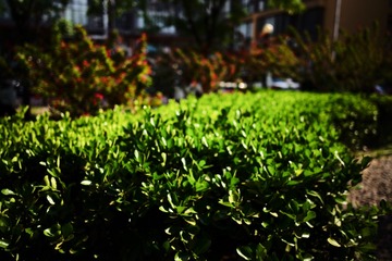 AF7752E1-95C1-4D04-A86F-D8E99C1750F8/L0/001