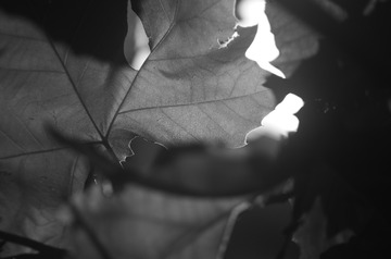 BD271ED4-F2C0-4A0A-8CD8-9E6F03C603F9/L0/001