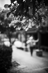 F68B8029-111F-4993-B18D-9972D651A04A/L0/001
