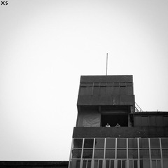 DSC01008副本.jpg