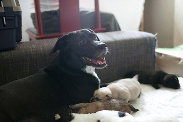 20120413-23DW0074.jpg