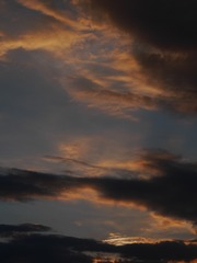 1592124