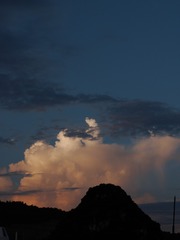 1592118