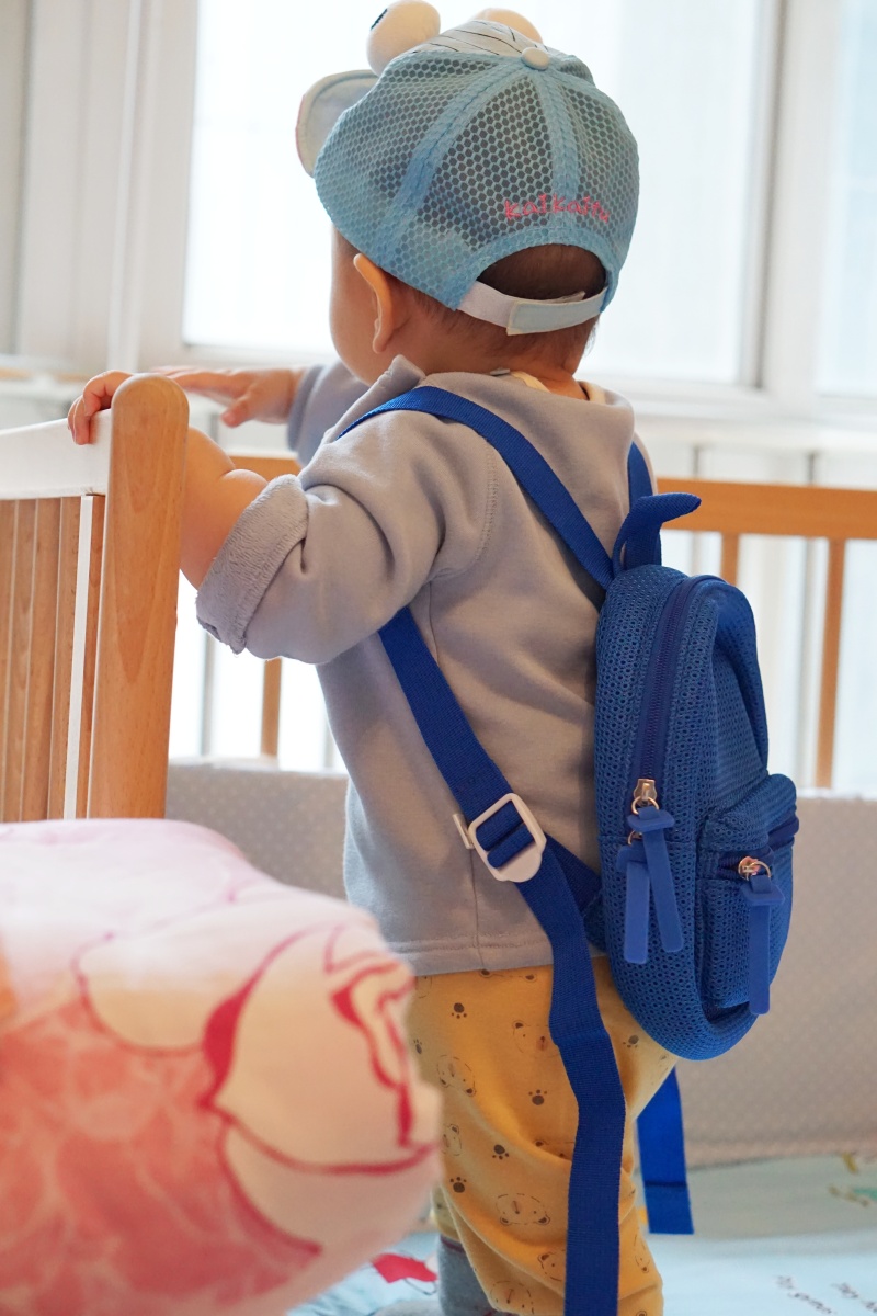 背上小书包上呀上学校