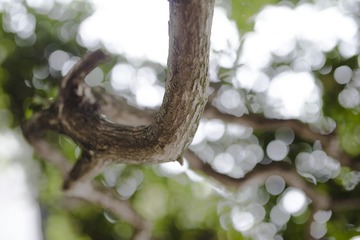 DSC_7830.jpg