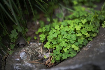 DSC_7844.jpg