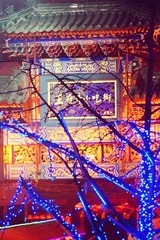 DSC00677_副本.jpg