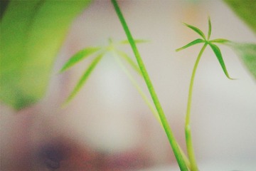 DSC00721_副本.jpg