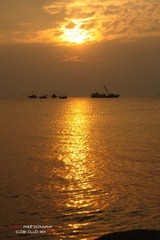 DSC_4736.jpg