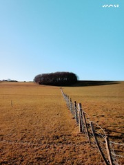 DSC00513.jpg