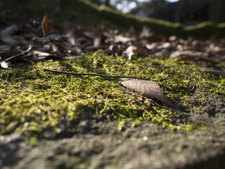 P1220498