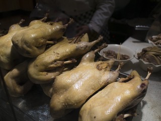 P1230600