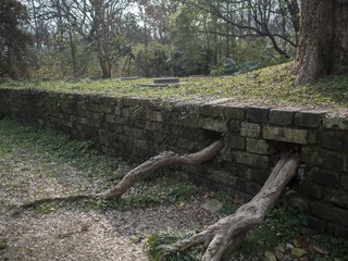 P1240974