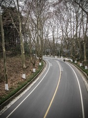 P1241010