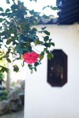 DSCF3095