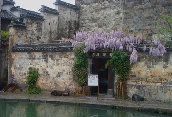 DSC04217s.jpg