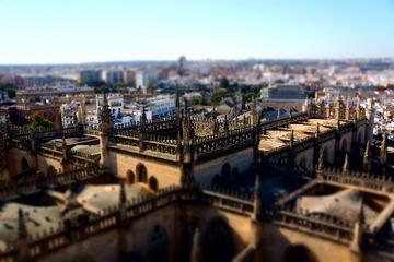 DSC05409a