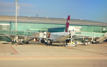DSC06689a