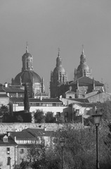 DSC04004c