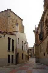 DSC03921c