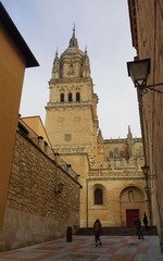 DSC03925c