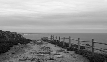 DSC04367c