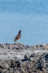 _DSC7092-01