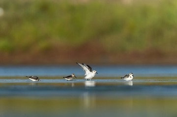 _DSC5523