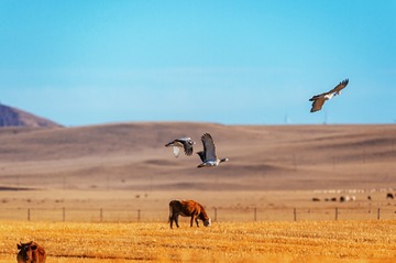 _DSC5071