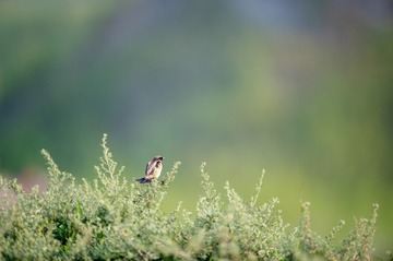 _DSC3005