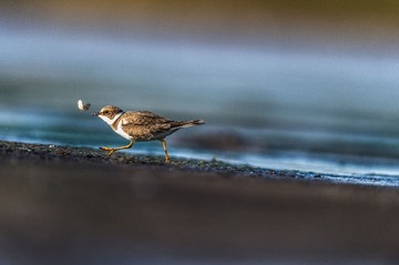 _DSC5063