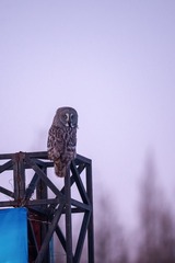 _DSC0393