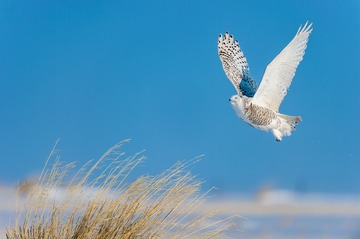 _DSC7442