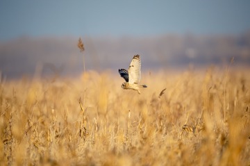 _DSC5795
