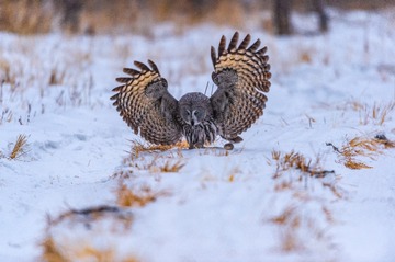 _DSC0819