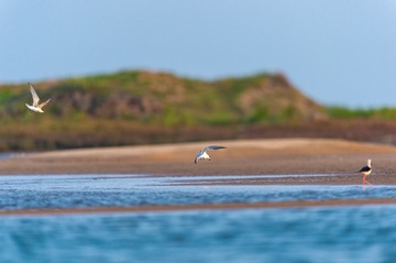 _DSC2713