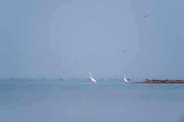 _DSC4541