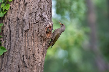 _DSC8661