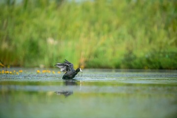 _DSC7598