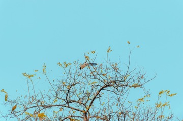 _DSC0014(1)-01
