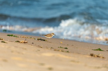 _DSC7554