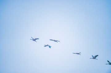_DSC7364