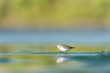 _DSC5716