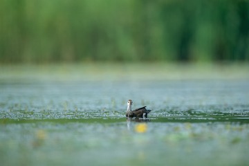 _DSC7757