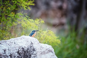 _DSC3093