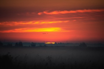 _DSC9812