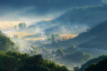 _DSC8206